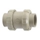 Chemical Industry Polyproplyene-Homo PPH Mini Plastic Double Union Check Valve